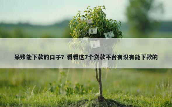 呆账能下款的口子？看看这7个贷款平台有没有能下款的