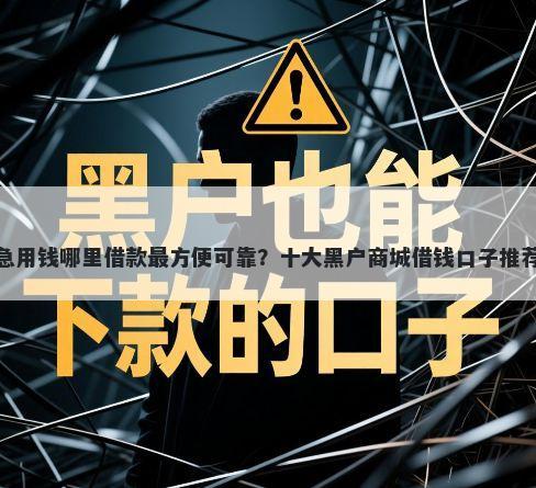 急用钱哪里借款最方便可靠？十大黑户商城借钱口子推荐