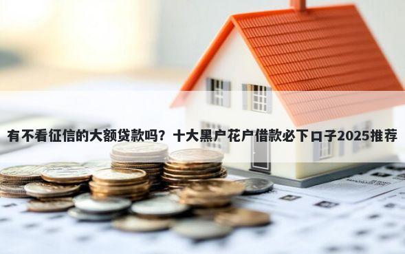有不看征信的大额贷款吗？十大黑户花户借款必下口子2025推荐