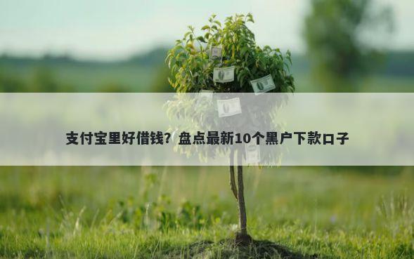 支付宝里好借钱？盘点最新10个黑户下款口子