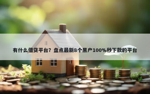 有什么借贷平台？盘点最新8个黑户100%秒下款的平台