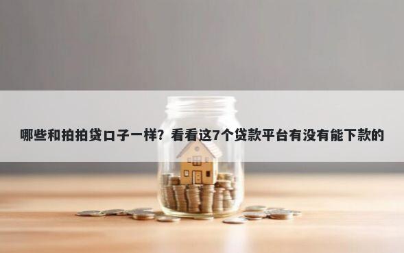 哪些和拍拍贷口子一样?看看这7个贷款平台有没有能下款的