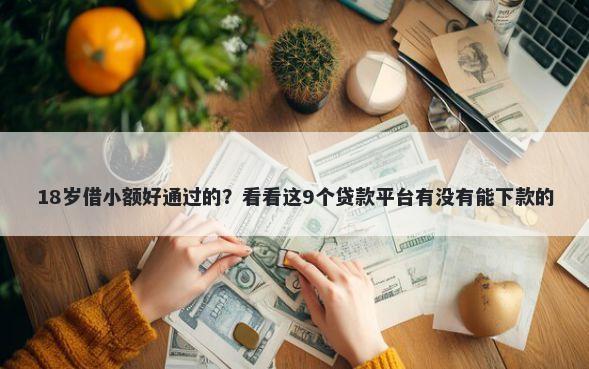 18岁借小额好通过的？看看这9个贷款平台有没有能下款的