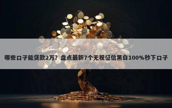 哪些口子能贷款2万?盘点最新7个无视征信黑白100%秒下口子