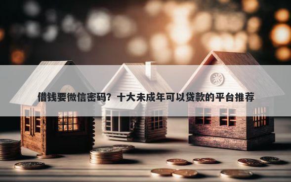 借钱要微信密码？十大未成年可以贷款的平台推荐