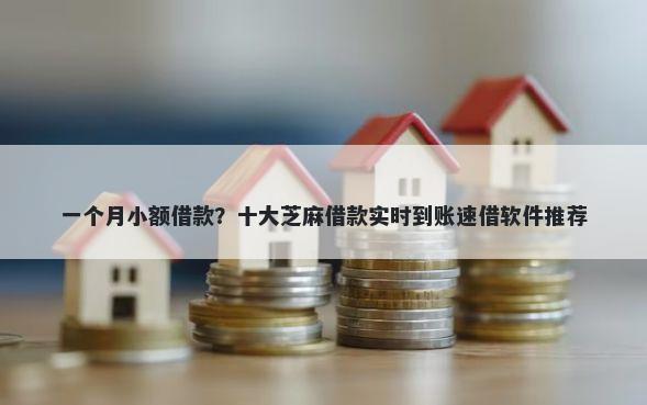 一个月小额借款？十大芝麻借款实时到账速借软件推荐