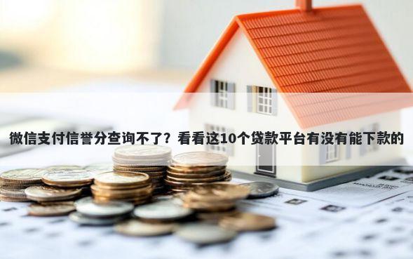 微信支付信誉分查询不了？看看这10个贷款平台有没有能下款的