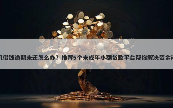 手机借钱逾期未还怎么办?推荐5个未成年小额贷款平台帮你解决资金问题