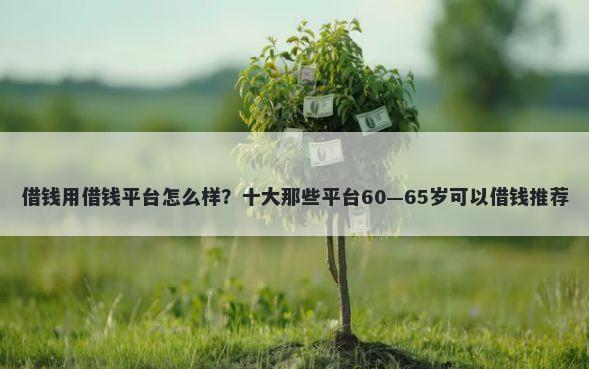 借钱用借钱平台怎么样?十大那些平台60—65岁可以借钱推荐