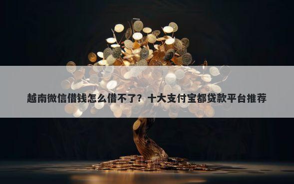 越南微信借钱怎么借不了?十大支付宝都贷款平台推荐