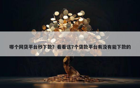 哪个网贷平台秒下款？看看这7个贷款平台有没有能下款的