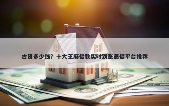 古田多少钱？十大芝麻借款实时到账速借平台推荐