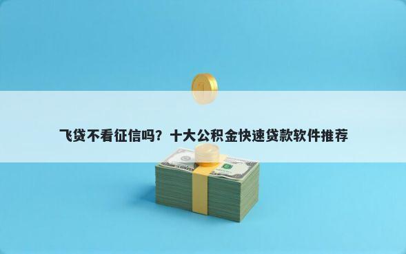 飞贷不看征信吗？十大公积金快速贷款软件推荐