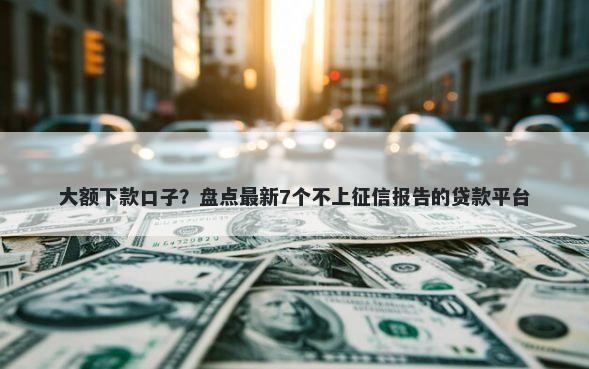 大额下款口子？盘点最新7个不上征信报告的贷款平台