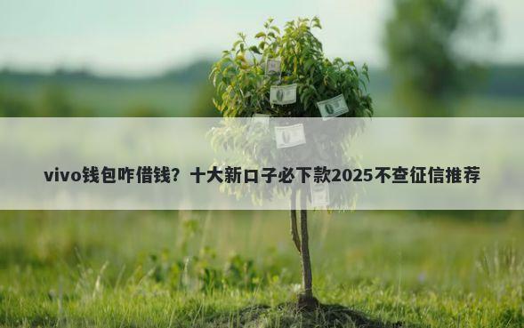 vivo钱包咋借钱？十大新口子必下款2025不查征信推荐