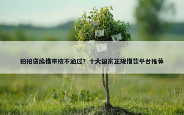 拍拍贷续借审核不通过？十大国家正规借款平台推荐