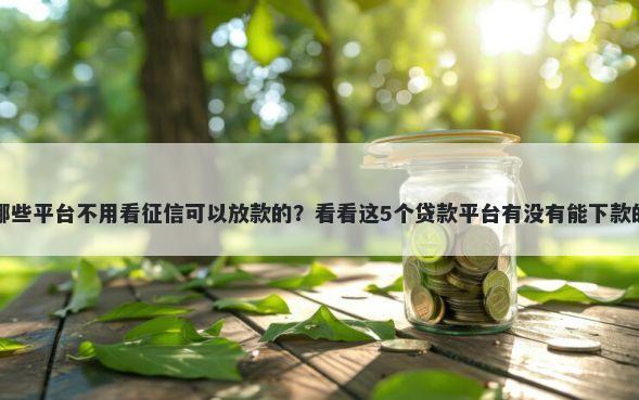 哪些平台不用看征信可以放款的？看看这5个贷款平台有没有能下款的