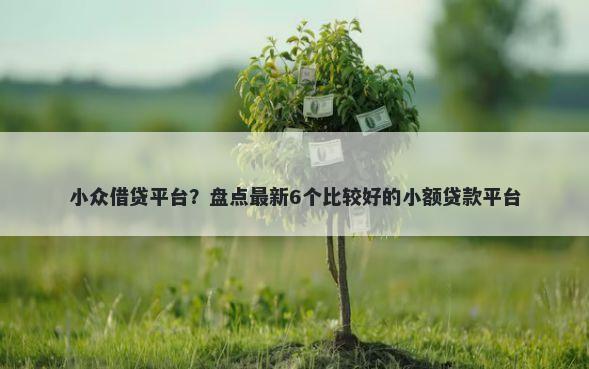 小众借贷平台？盘点最新6个比较好的小额贷款平台