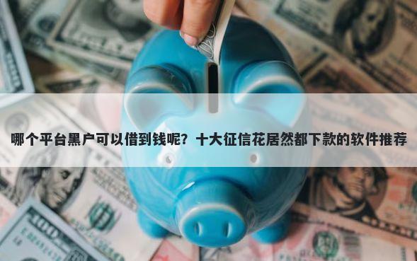 哪个平台黑户可以借到钱呢?十大征信花居然都下款的软件推荐