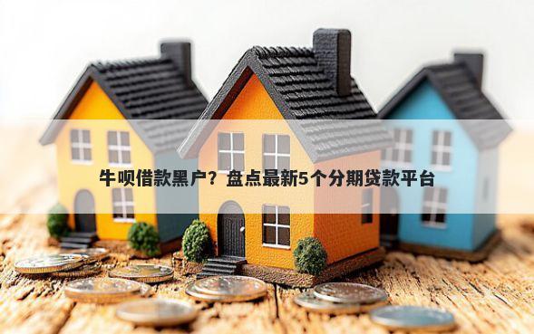 牛呗借款黑户？盘点最新5个分期贷款平台